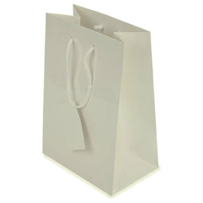 PLASTIFIED PAPER GIFT BAG