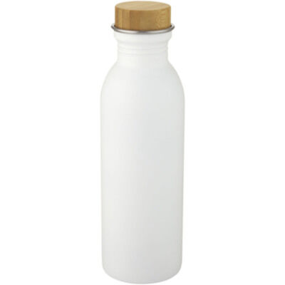 Botella de acero inoxidable de 650 ml 